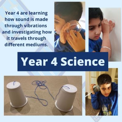 Year 4 science